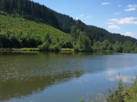 Freizeitsee der Familie Albert