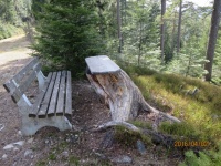 Platz zum Ausruhen im Wald